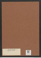 Diatomeae indet. (de-Toni-Nr.: Species 3044 ?) Zeichnungen Sammlung Grunow Mappe 03264 (Herbarium_W_Grunow_drawings_Folder_03264)